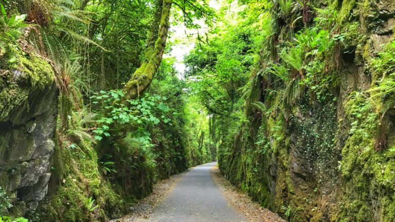Sounds of the Waterford greenway